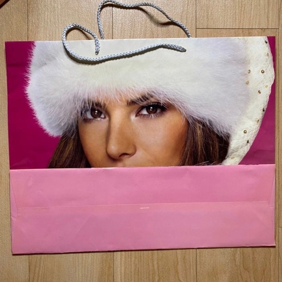 Y2K Victoria’s Secret Shopping Bags - Picture 5 of 11